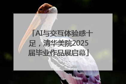 AI与交互体验感十足，清华美院2025届毕业作品展启幕