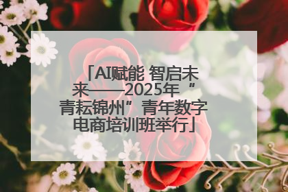 AI赋能 智启未来——2025年“青耘锦州”青年数字电商培训班举行