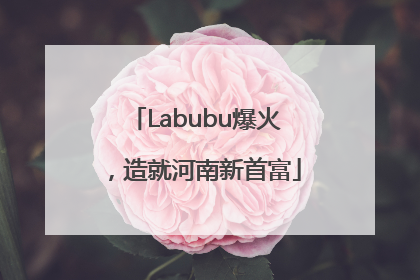 Labubu爆火，造就河南新首富