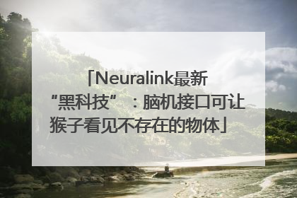 Neuralink最新“黑科技”：脑机接口可让猴子看见不存在的物体