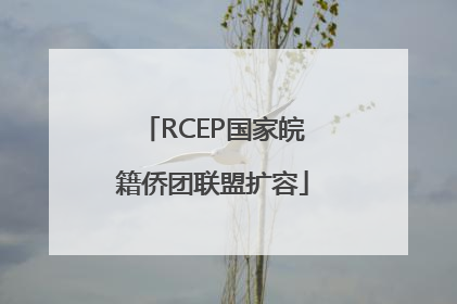 RCEP国家皖籍侨团联盟扩容